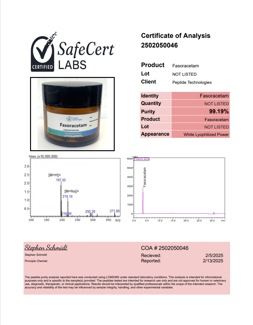Fasoracetam (powder) – 1g - Image 2